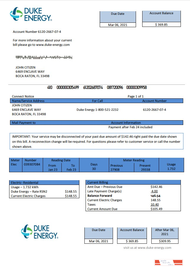 USA North Carolina Duke Energy utility bill template in Word and PDF format